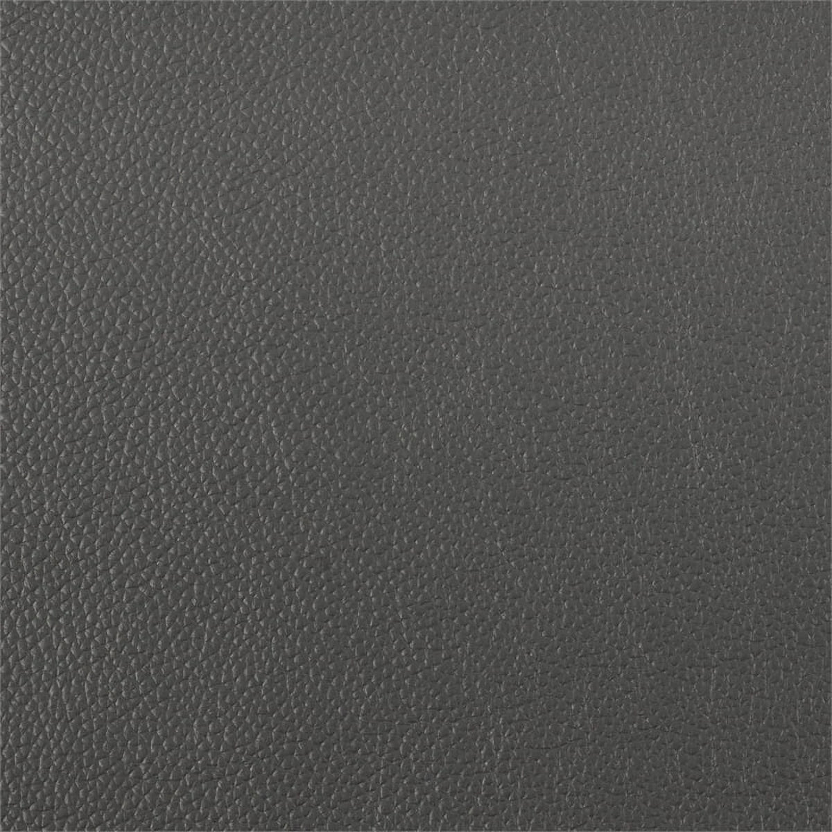 Dark Gray Leather 2-Piece Upholstered Sofa Set C366