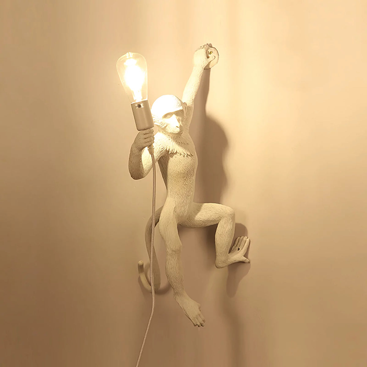 White Resin Plug in Wall Sconce Lamp L35737