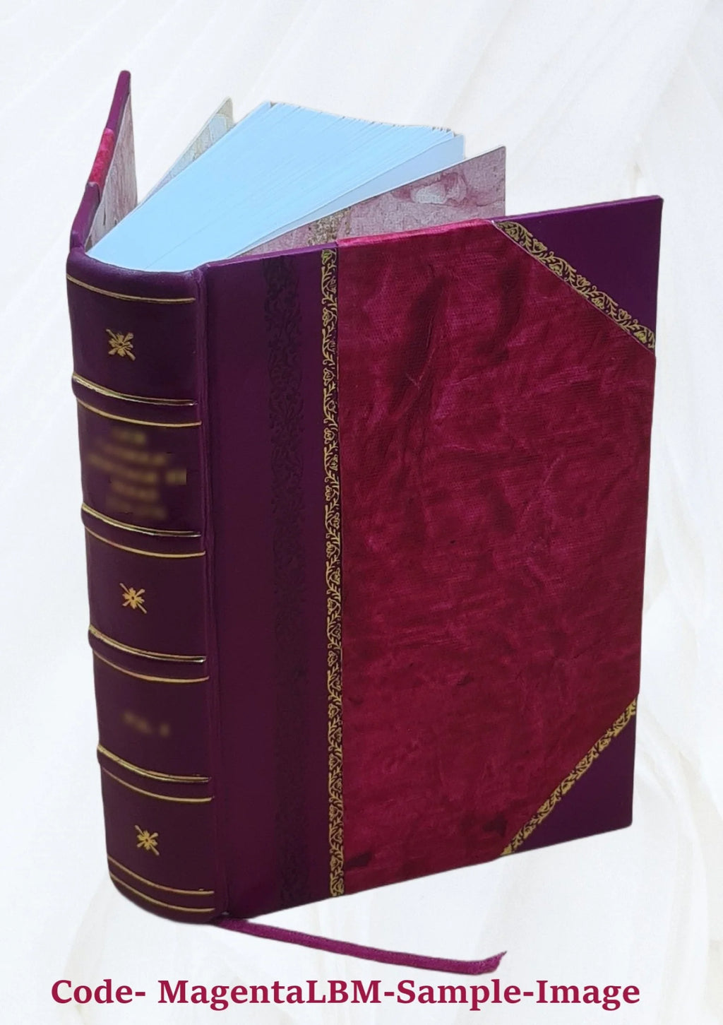 La Guerre russo-japonaise Leather Bound T185319