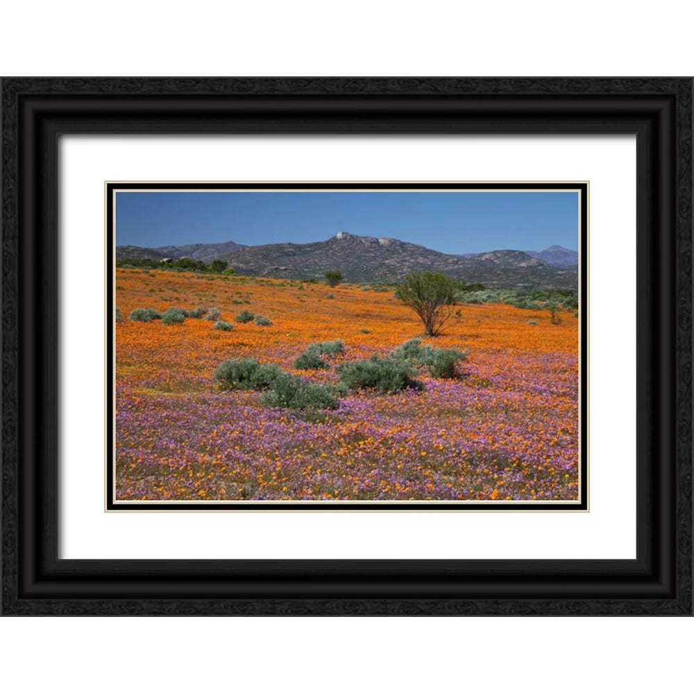 Black Ornate Wood Framed Art Print B4523