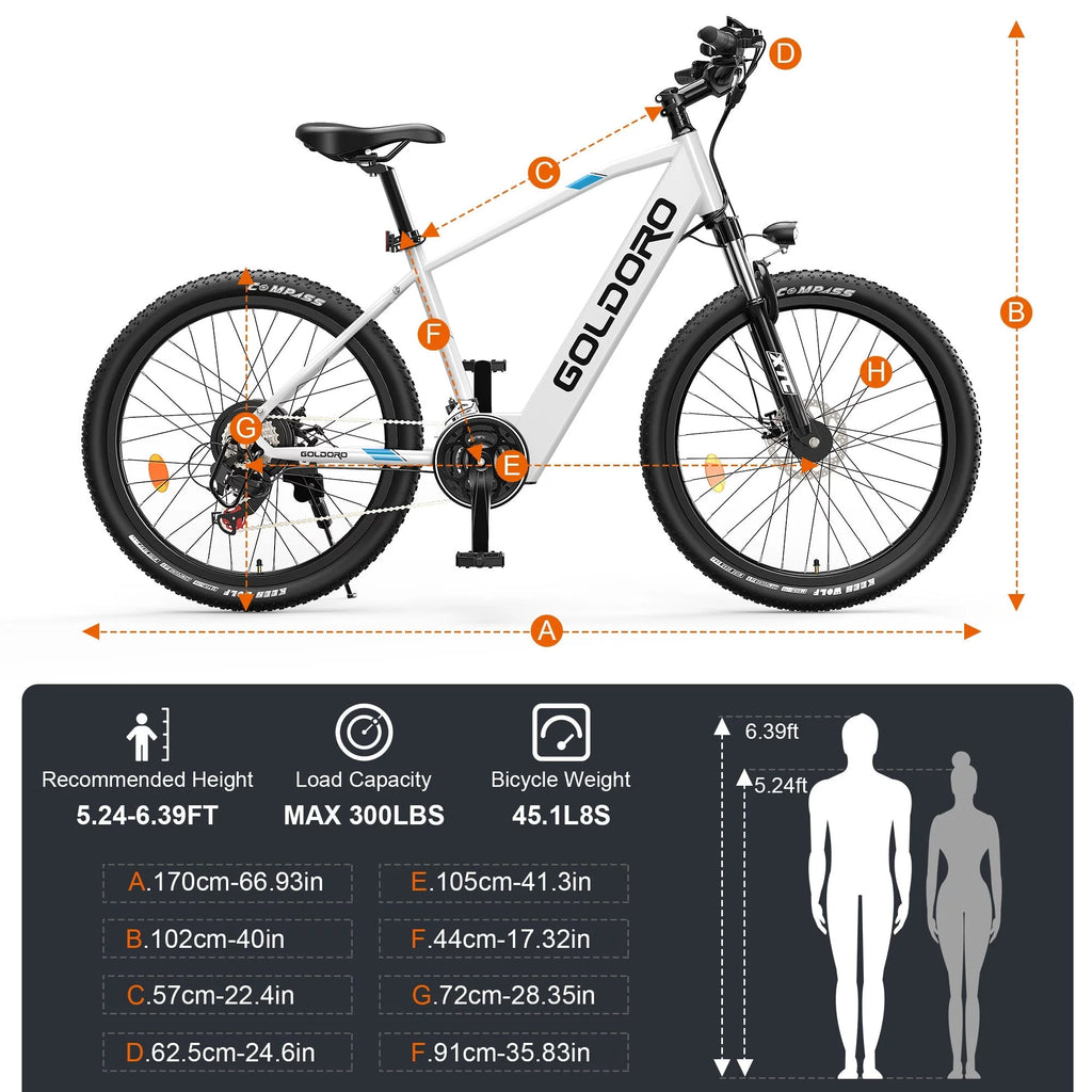 Electric Bike 26" Aluminum Alloy Mountain Bike 250W 21 Speed Z8880
